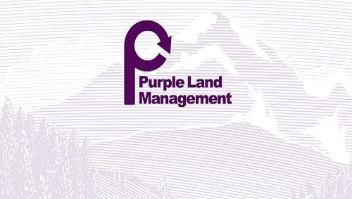 purple tree property management